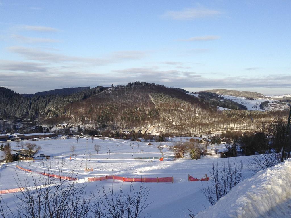 Fewo Jaeger Willingen (Upland) Exterior foto